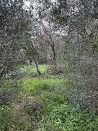  Terrain � vendre 1875 m�