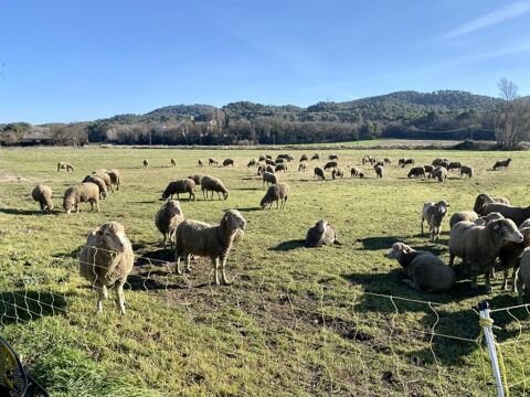  Maison  louer 2 pices 77 m