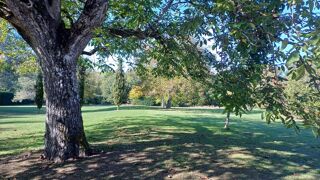  Propri�t�/ch�teau � vendre 7 pi�ces 310 m�