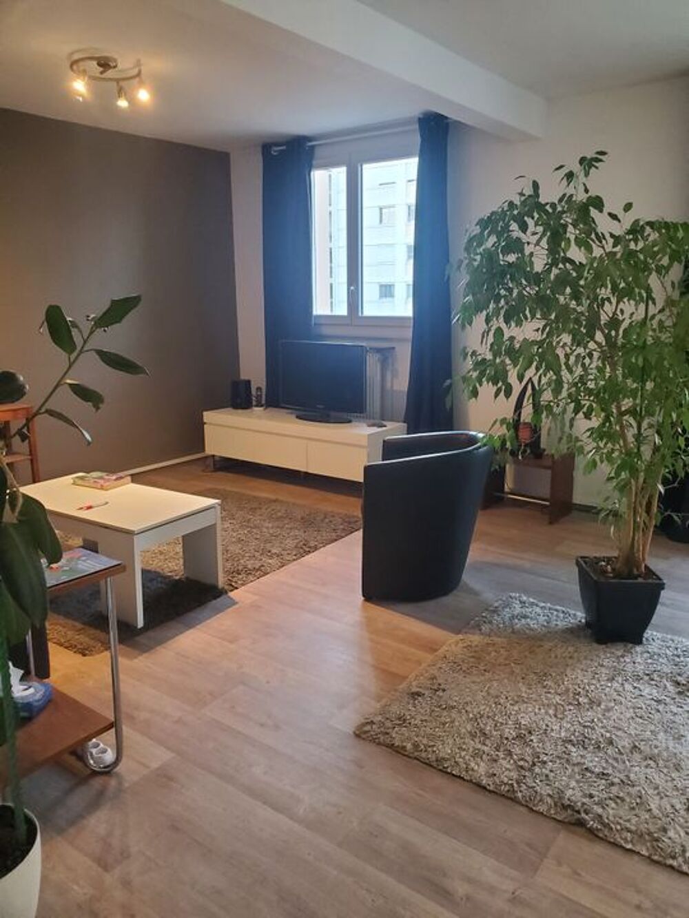 Location Appartement Chambre de 10m2 à louer sur Villeurbanne Villeurbanne