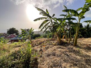  Terrain  vendre 1111 m