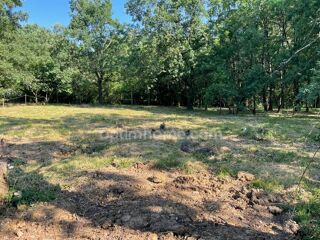  Terrain  vendre 901 m