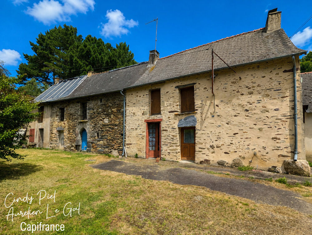 Ensemble maisons en pierre à rénover, calme, campagne - proximité CARENTOIR - LA GACILLY - GUER - REDON