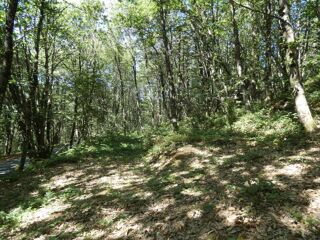  Terrain � vendre 1023 m�