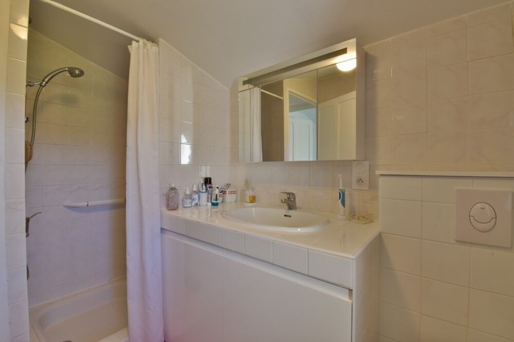 � vendre  Propri�t�/ch�teau Sisteron (04200)