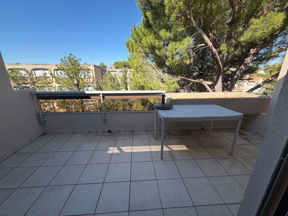 Location Appartement Studio de 23m2 à louer sur Montpellier Montpellier