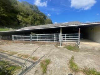  Maison à vendre 15 + pièces 250 m²