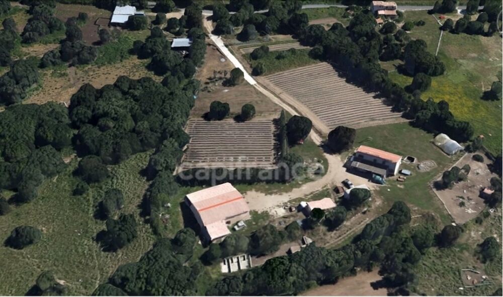 Vente Propriété/Château EXCLUSIVITE : Proche de L'ILE ROUSSE, Plaine du Reginu, propriété en pierre T5 161 m² sur 1.96 ha de terrain Ville di paraso