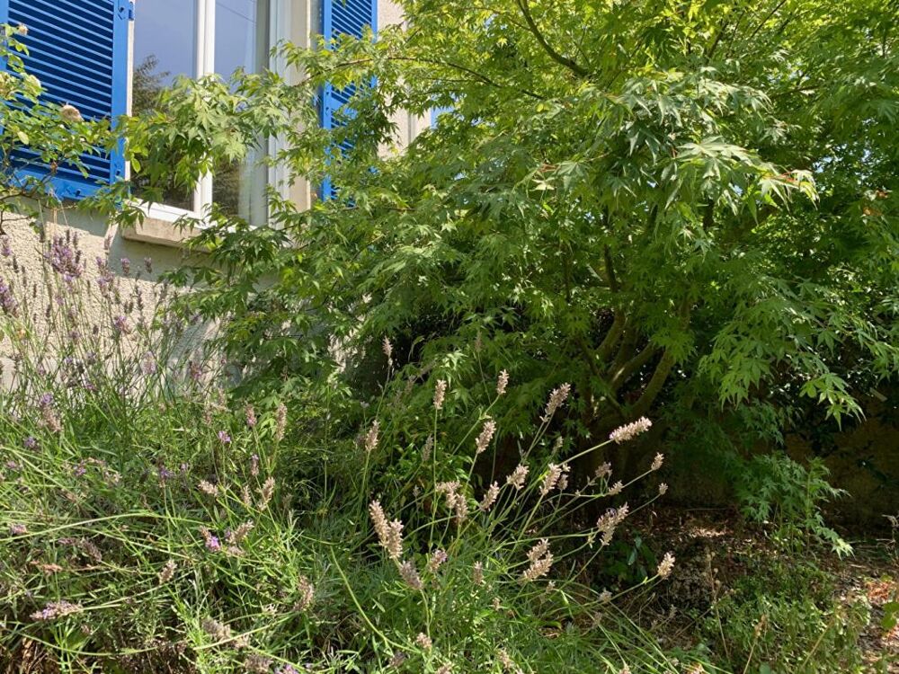 Vente Maison Maison quartier Albert 1 er Vannes