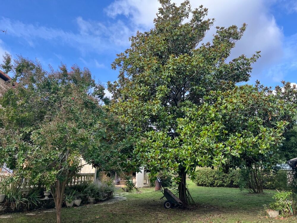 Maison à vendre 5 pièces aux portes de CHALAIS (16) avec grand jardin arboré clos et verger