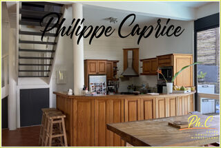  Maison � vendre 8 pi�ces 366 m�