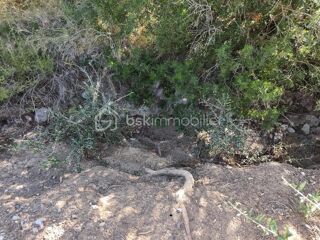  Terrain � vendre 2420 m�