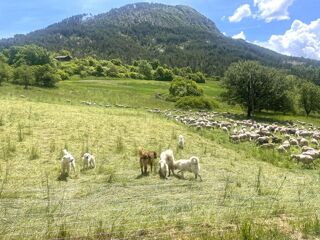  Terrain � vendre 989 m�