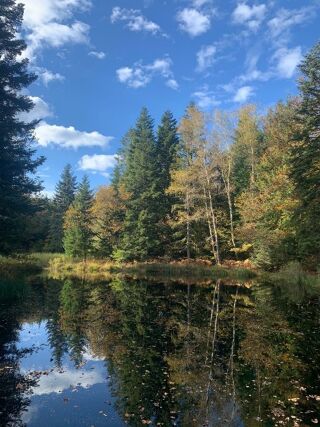  Terrain � vendre 9200 m�