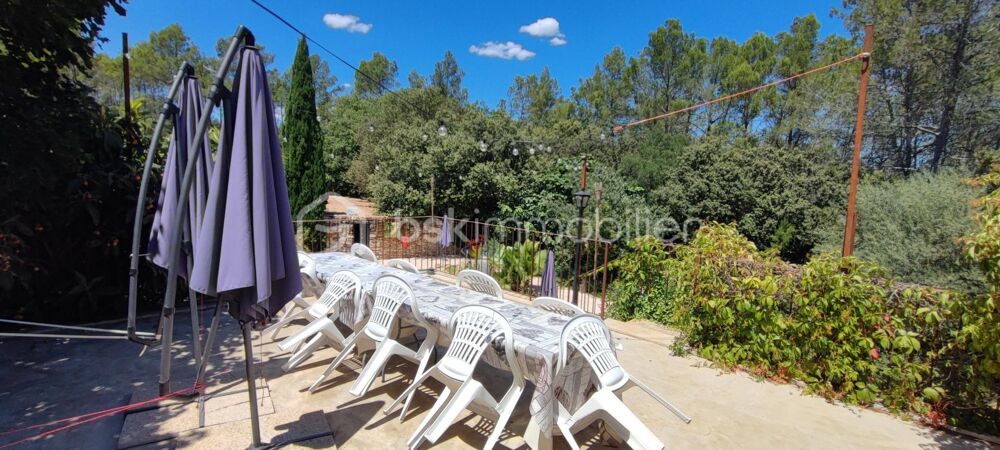 � vendre  Propri�t�/ch�teau Carc�s (83570)