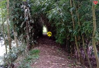  Terrain � vendre 11500 m�