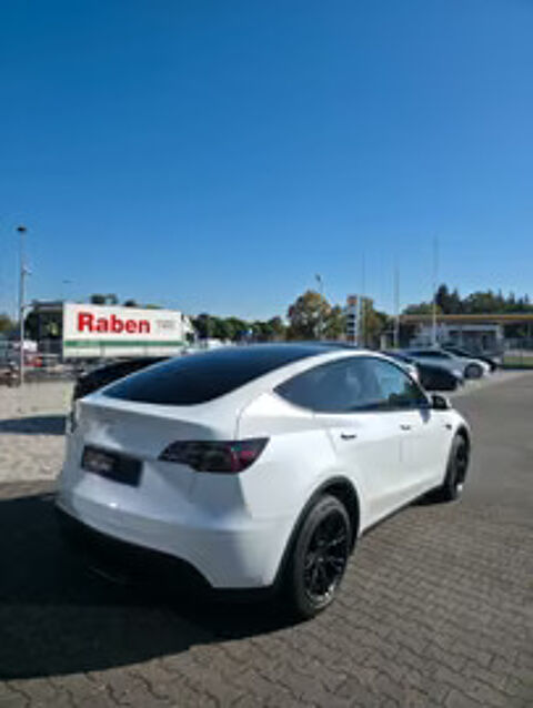 Model Y Standard RWD 2024 occasion 33000 Bordeaux