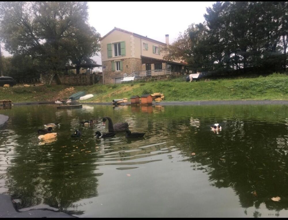Vente Propriété/Château Propriete à vendre 6 pièces GABILLOU (24) Gabillou