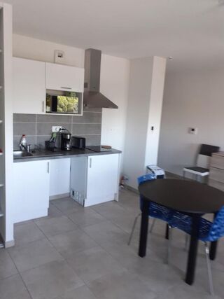  Appartement à louer 1 pièce 29 m²