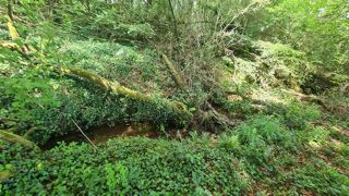  Terrain à vendre 4300 m²