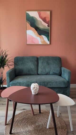  Appartement à louer 1 pièce 30 m²