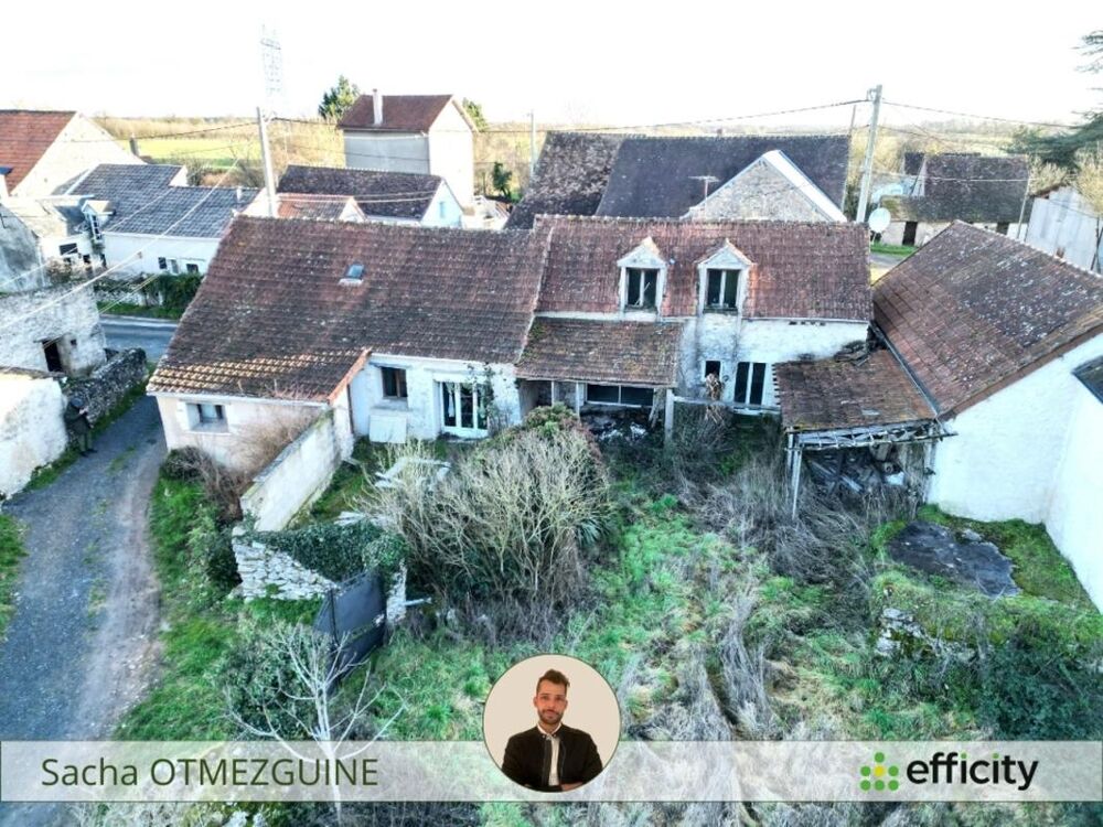Vente Maison Maison Pleumartin