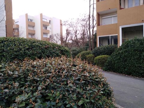  Appartement � louer 1 pi�ce 25 m�