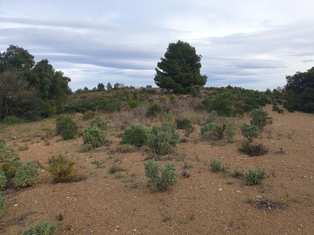 Vente Terrain Terrain naturel de 1 hectare sur Torderes Torderes