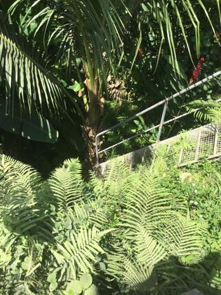  Maison � vendre 5 pi�ces 210 m�