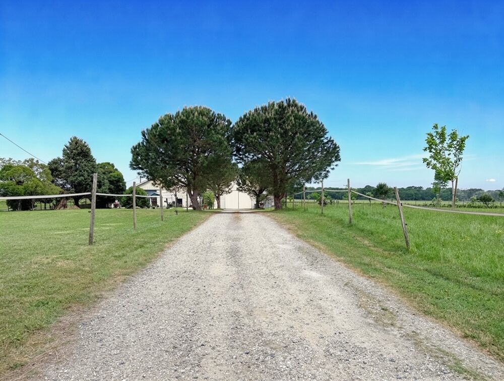Maison à vendre 5 pièces SAINT SULPICE DE POMMIERS (33)