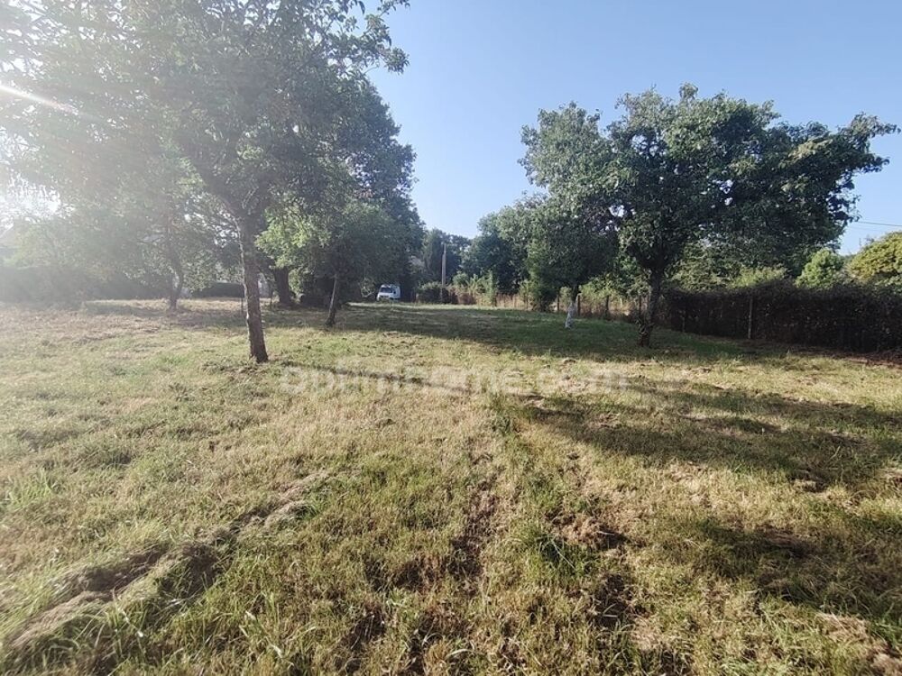 Vente Terrain Terrain à vendre Guer (56) - 2930 m² dont 556m² constructibles - EXCLUSIVITÉ Guer