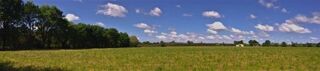  Terrain à vendre 124000 m²