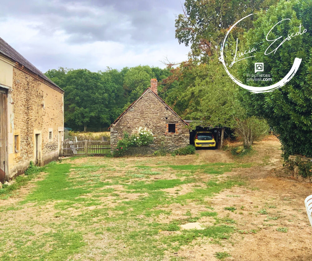 Vente Maison Maison de campagne 4 chambres avec dépendances 1 929 m²  à deux pas de la forêt Chateaumeillant