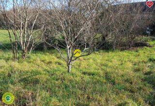  Maison � vendre 3 pi�ces 50 m�