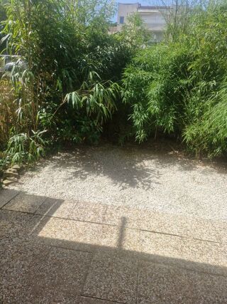  Appartement à louer 1 pièce 23 m²