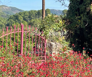  Maison � vendre 11 pi�ces 265 m�