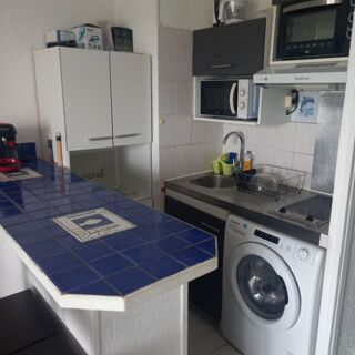  Appartement à louer 1 pièce 21 m² Mauguio