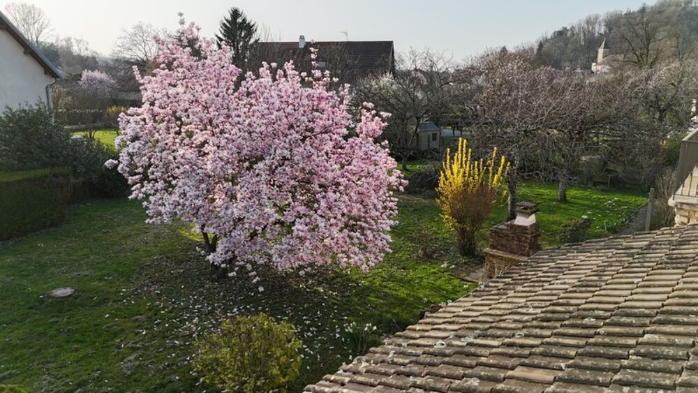 Maison familiale sur 2 000 m² de terrain  Idéale artisan, maçon, charpentier ou entrepreneur, à deux pas de Lons-le-Saunier