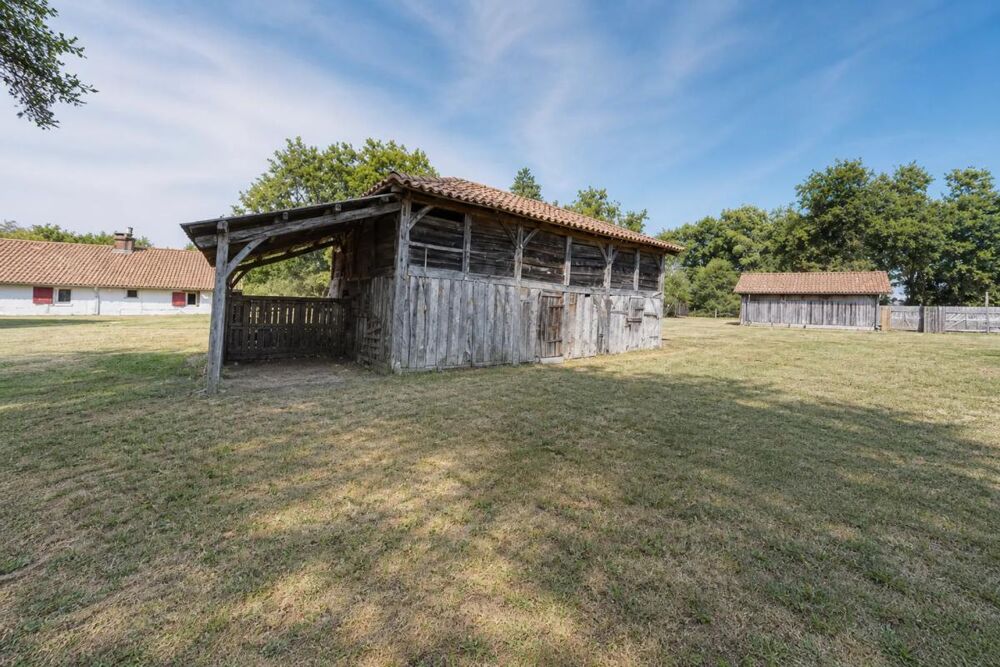 Vente Maison Magnifique et authentique Airial des Landes Sabres