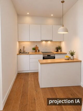 Vente Appartement T2 à rénover, lumineux, avec cachet, 2ème étage avec asc, à 240 m du tram Villeurbanne