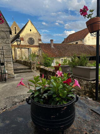  Propri�t�/ch�teau � vendre 13 pi�ces 380 m�