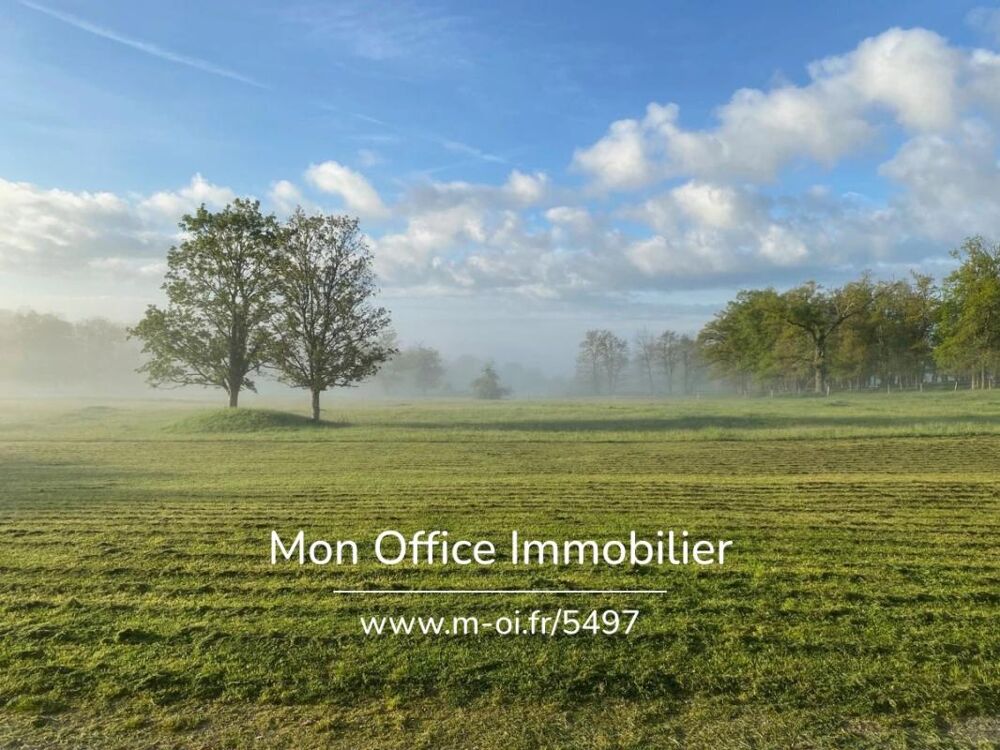 � vendre  Propri�t�/ch�teau Chazemais (03370)