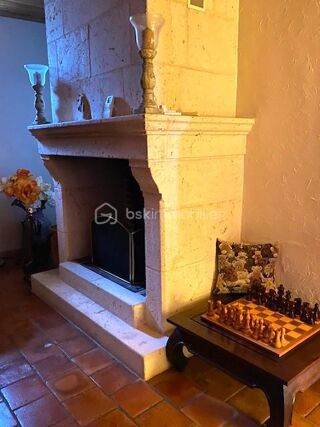  Propri�t�/ch�teau � vendre 11 pi�ces 368 m�