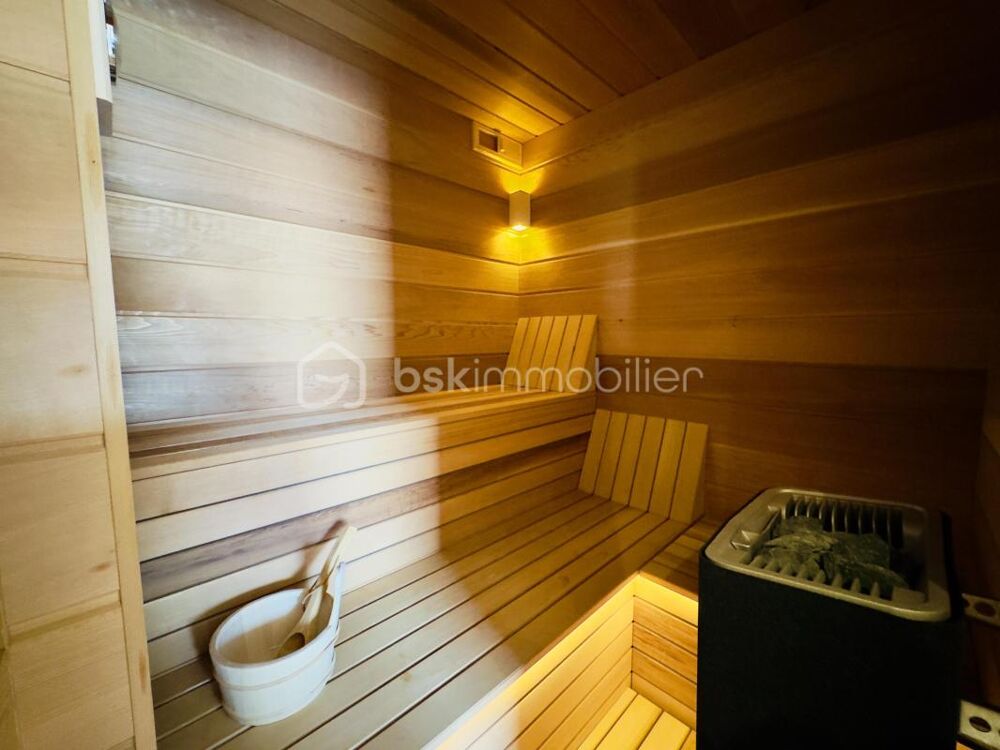 � vendre  Propri�t�/ch�teau Etaux (74800)