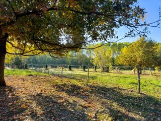  Maison � vendre 7 pi�ces 273 m�