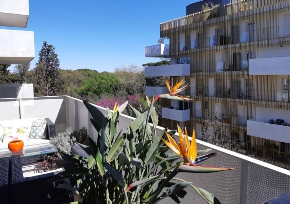 Location Appartement Appartement de 67m2 à louer sur Montpellier Montpellier