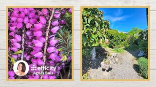  Maison � vendre 4 pi�ces 82 m�