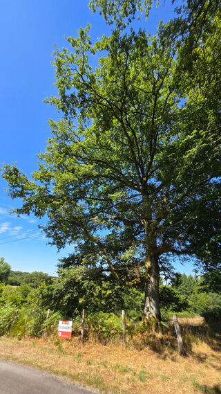  Terrain � vendre 8875 m�