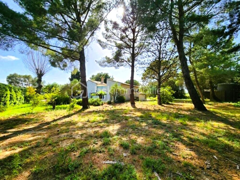 Vente Villa VILLA D'EXCEPTION SUR LES HAUTEURS DE TOURBES AVEC UN APPARTEMENT INDÉPENDANT Tourbes