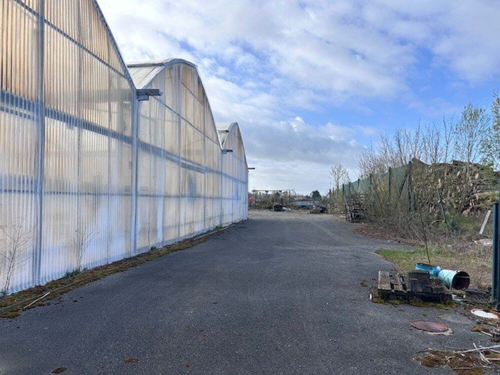 Vente Terrain A VENDRE - ENSEMBLE IMMOBILIER A VOCATION D'ACTIVITE Gergy